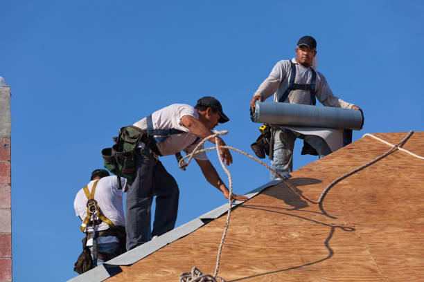Best Residential Roof Replacement  in Albion, MI