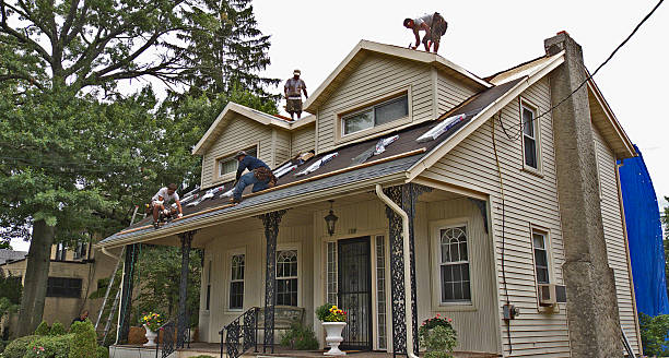 Roof Gutter Cleaning in Albion, MI