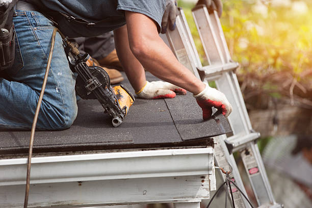 Best Roof Maintenance Services  in Albion, MI