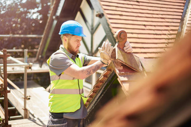Best Roof Waterproofing Services  in Albion, MI